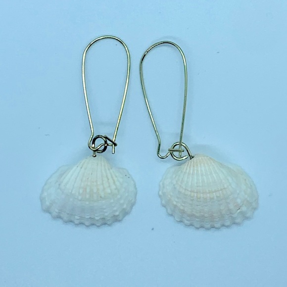 Shell Earrings - Picture 1 of 1